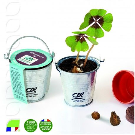 Kit De Plantation Personnalisé En Zinc Avec Des Graines à Faire Pousser, Kit personnalisé