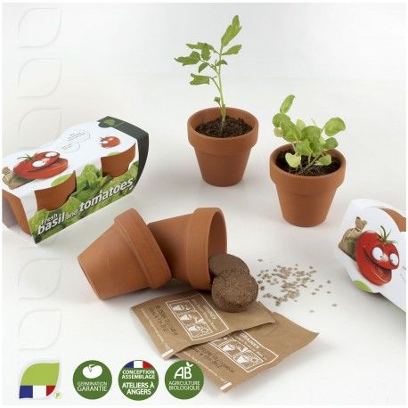 Kit De Plantation Publicitaire Pots Terre Cuite Avec Graines à Semer, Kit  personnalisé