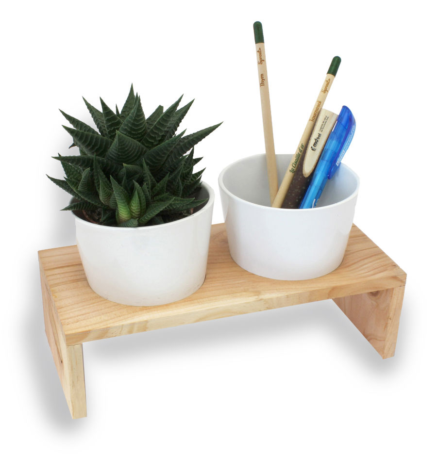 Plante de bureau personnalisée kit de plantation, Plante de bureau