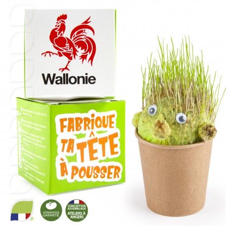 Tête à Pousser Publicitaire Dans Un Pot En Carton, Kit personnalisé