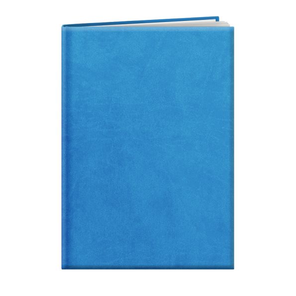 Agenda personnalisable | Londres 24 Bleu clair