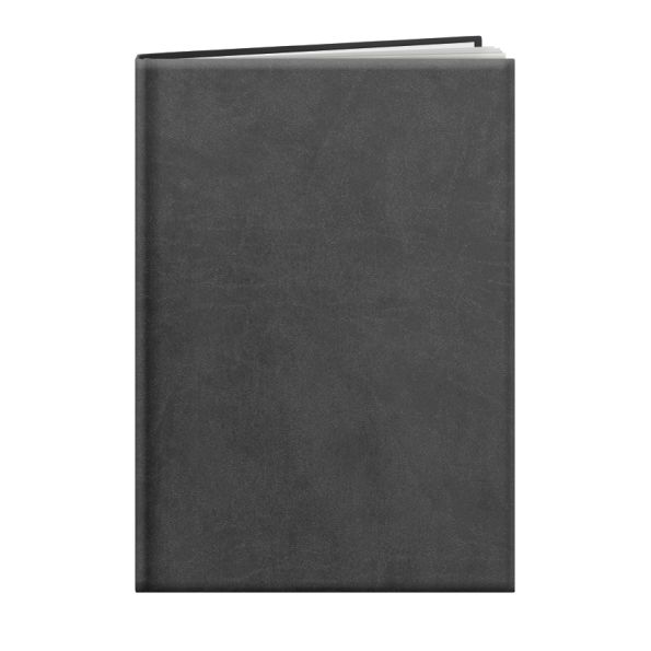 Agenda personnalisable | Londres 24 Gris