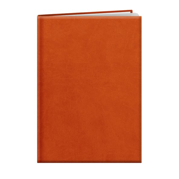 Agenda personnalisable | Londres 24 Orange