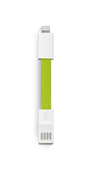 Câble de chargement USB personnalisé | Micro Dual Vert
