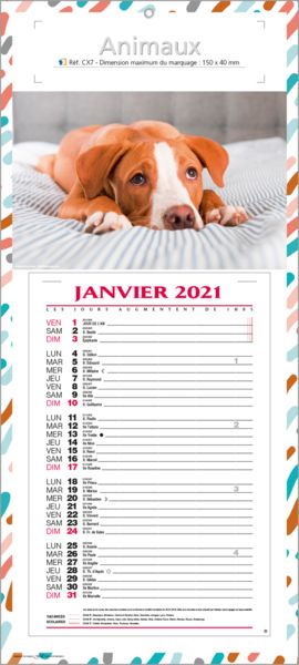 calendrier bloc animal