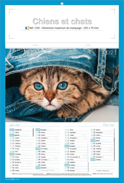 calendriers chats et chiens