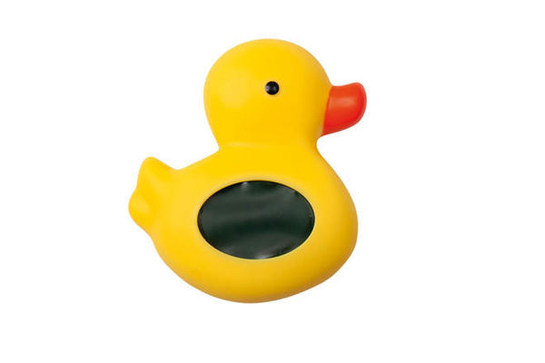 canard compétition entreprise Jaune