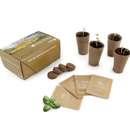 Kit de plantation personnalisé | Glechoma