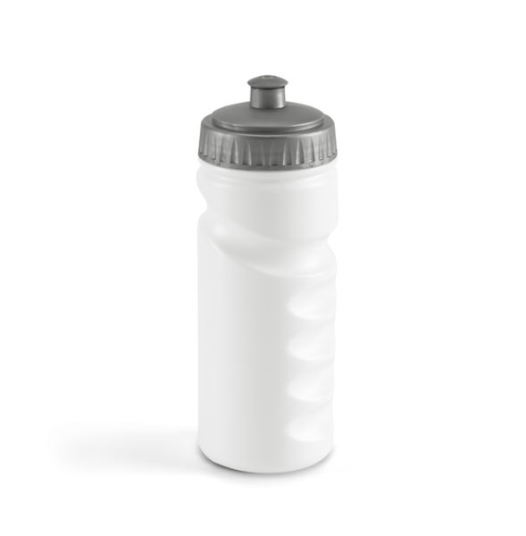 Bouteille personnalisable | Lowry Argent satiné