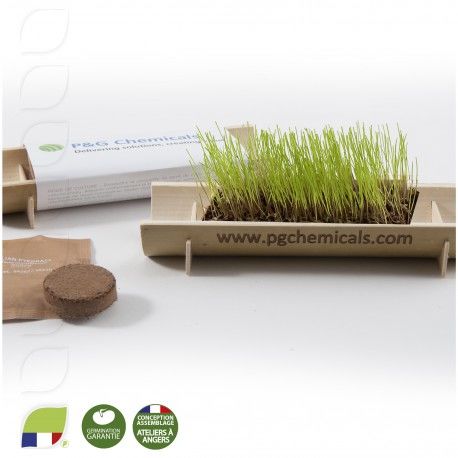 Kit de plantation personnalisable | Kalmia