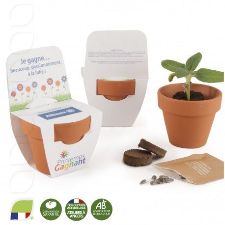 Kit de plantation DIY tête à pousser pot carton Made in France