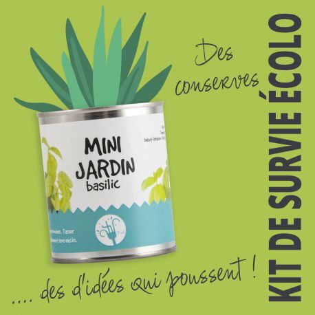 Kit de plantation personnalisé | Joubarbe