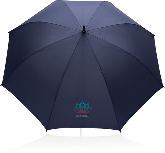 Parapluie 30
