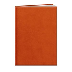 Agenda personnalisable | Londres 24 Orange