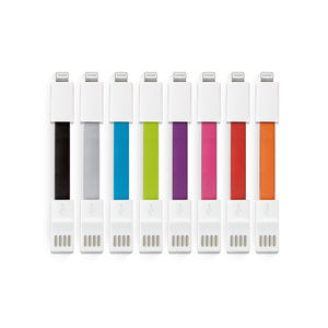 Câble de chargement USB personnalisé | Micro Dual 1