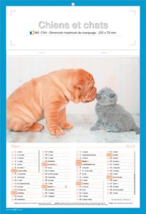 calendriers chats et chiens 1