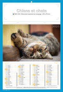 calendriers chats et chiens 3