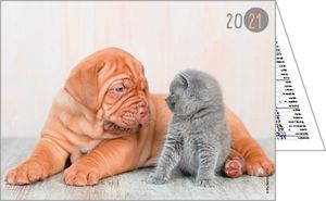 calendriers de poches animaux 2