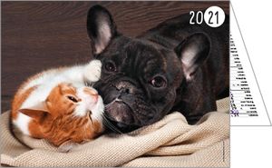 calendriers de poches animaux 3