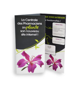 Carte publicitaire | Lotus