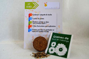 Fiche Herbier ludique personnalisable 6