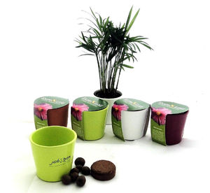 Kit de plantation ceramique pour entreprise 5