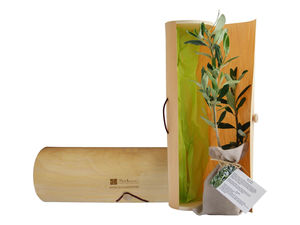 Le plant d'arbre en tube bois - Prestige personnalisable 7