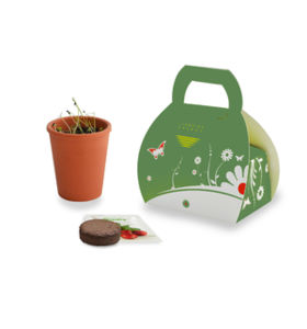 Kit de plantation personnalisable | Acer