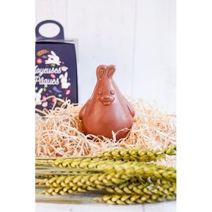 Moulage chocolat lapin publicitaire 41% bio|Bun 3