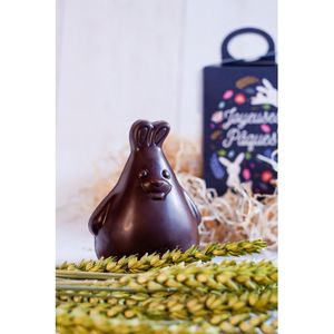 Moulage chocolat lapin publicitaire 70% bio|Coqui 3