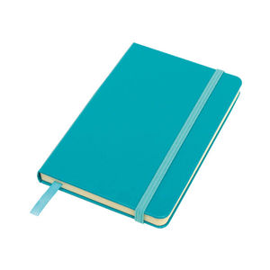 Carnet promotionnel : le aigremoine Turquoise