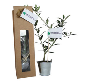 Plant d'arbre en sac kraft - Résineux publicitaire