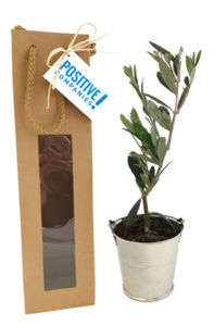 Plant d'arbre en sac kraft - Résineux publicitaire 4