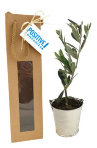 Plant d'arbre personnalisable | Vaktel 4