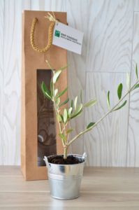 Plant d'arbre personnalisable | Vaktel 5