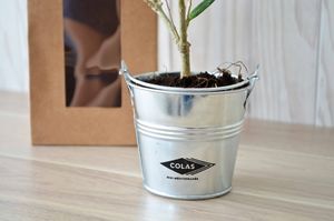 Plant d'arbre personnalisable | Vaktel 7