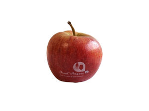 Pomme Publicitaire pour entreprise 3