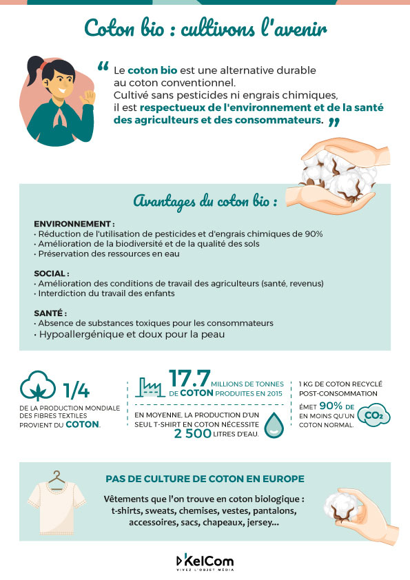 2024-infographie-coton