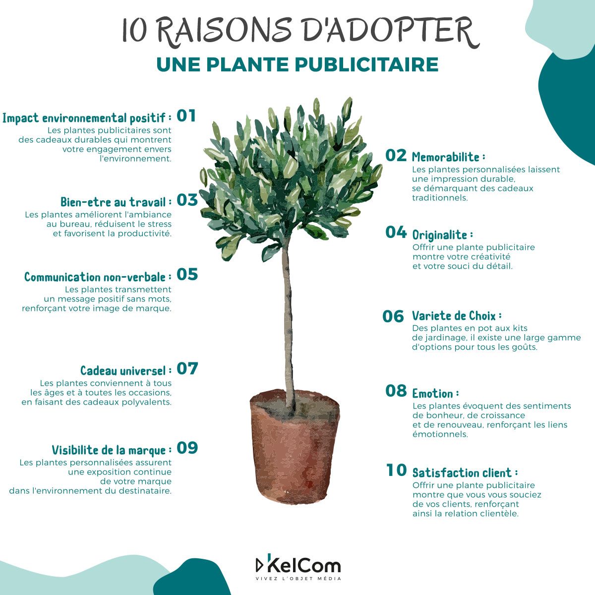 2024-infographie-plante-publici