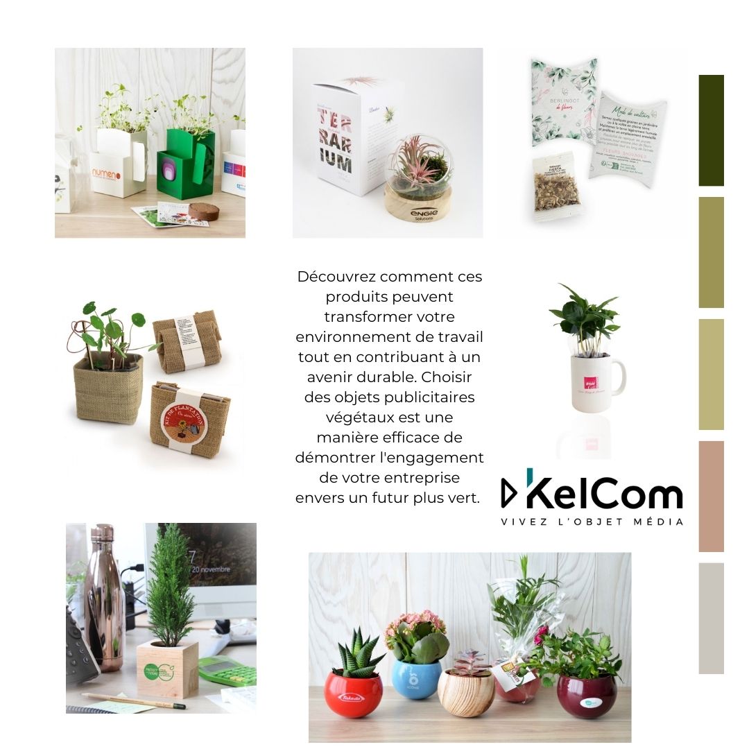2024-plantes