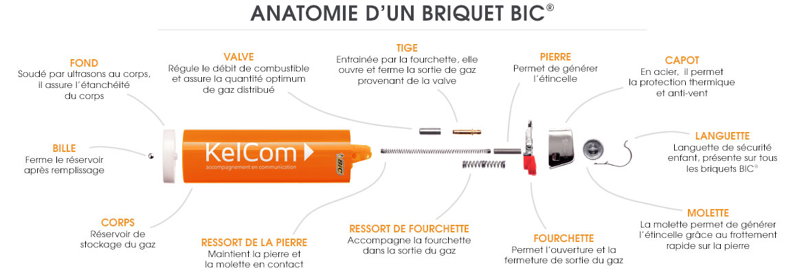 briquet-anatomie-1170x400