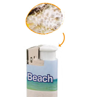 briquet-sandy