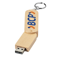 cle-usb-ecolo-cytise-2