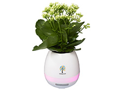 enceinte-pot-fleur-perso