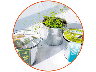 jardinage-kit-plantation-pot