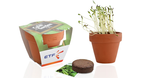 objet-publicitaire-kit-de-plant